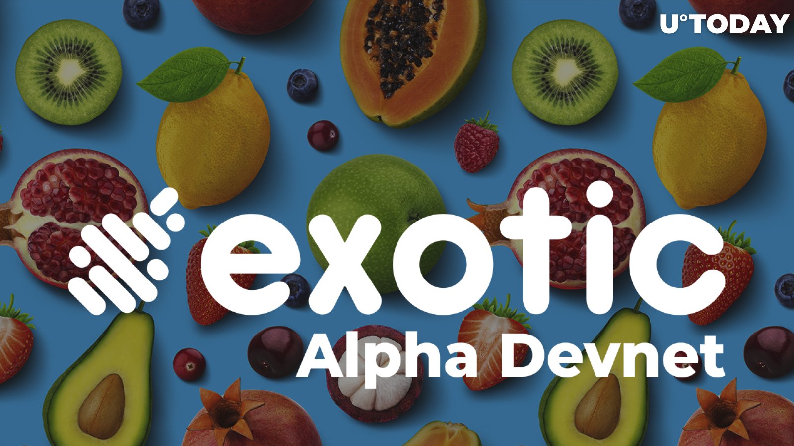 Solana-Based Exotic Markets Goes Live in Alpha Devnet: Details