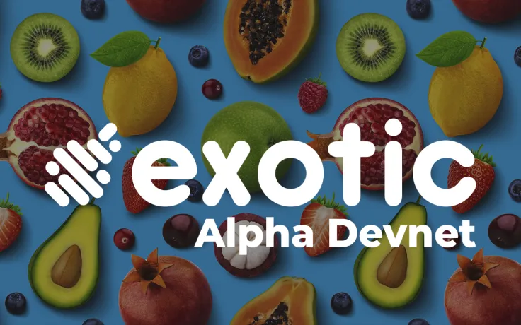 Solana-Based Exotic Markets Goes Live in Alpha Devnet: Details