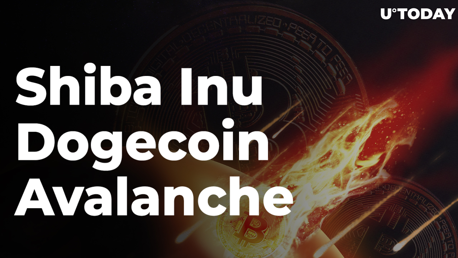 Shiba Inu, Dogecoin, Avalanche See Significant Daily Losses as Bitcoin Keeps Falling