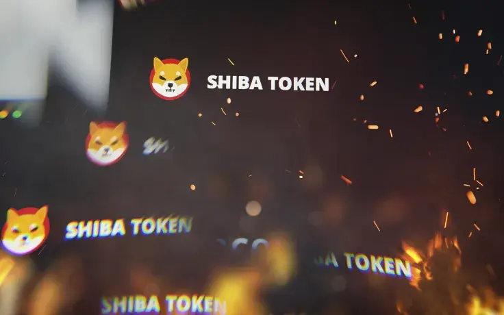22 Million Shiba Inu Burned in Last 24+ Hours, 917 Million Tokens Gone Within Week: Details