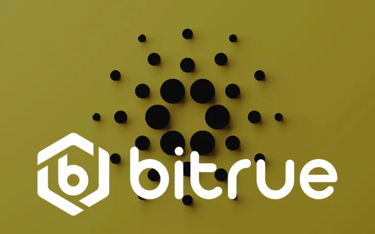 Big Cardano News Is in the Works, Says Bitrue Cryptocurrency Exchange: Details
