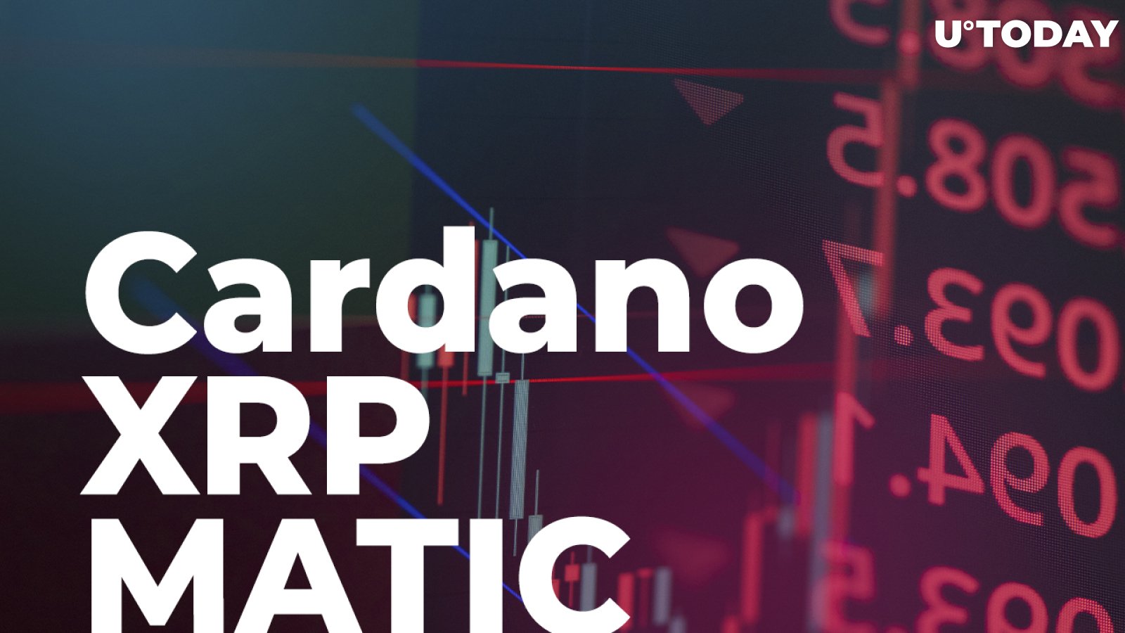 Cardano, XRP and MATIC Are Down by Double Digits as Bitcoin Falls to New Lows
