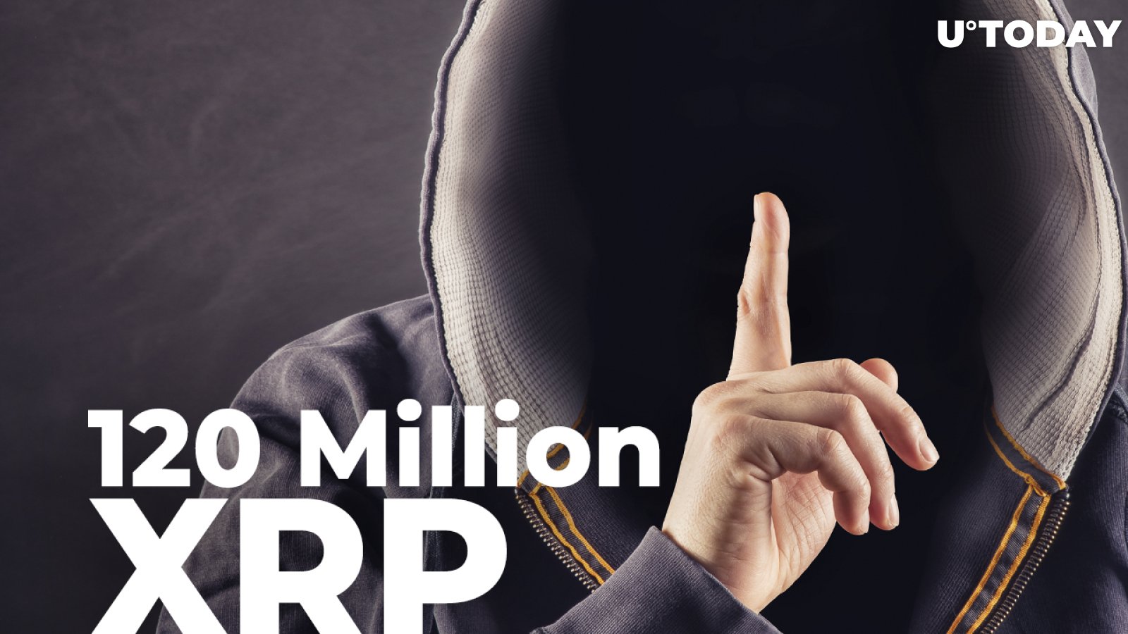 120 Million XRP Moved by Anonymous Whale to Private Wallet: Details