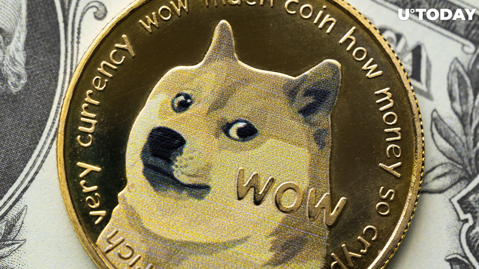 Dogecoin Bounced by 20% in Last 24 Hours: Here's Why