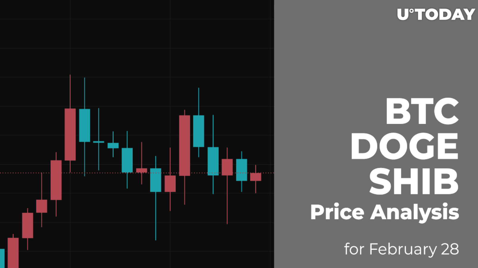 BTC, DOGE and SHIB Price Analysis for February 28
