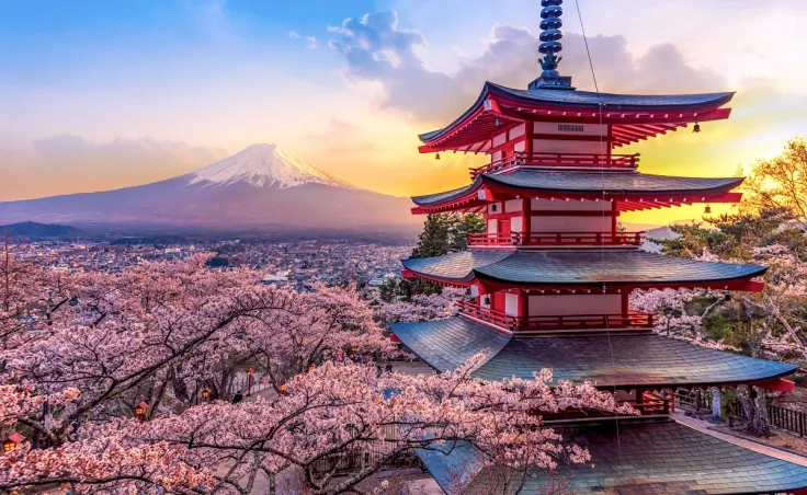 Cardano (ADA) Now Available for Trading on Japanese Crypto Exchange for Pro Traders