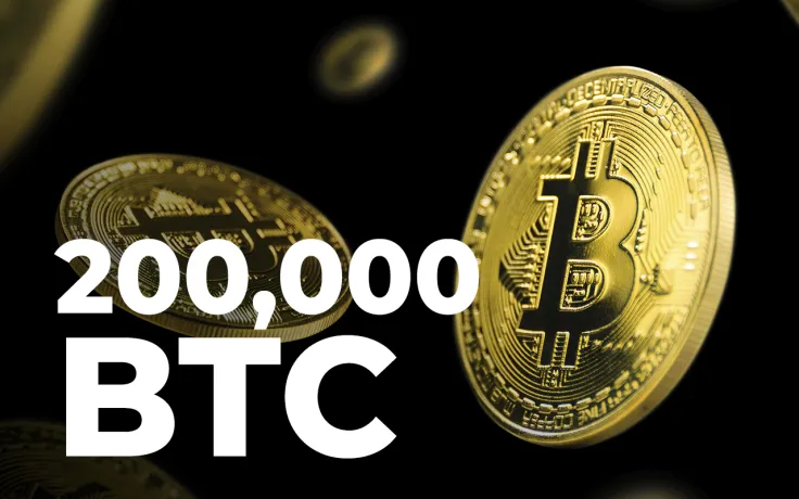 More Than 200,000 BTC Moved by Whales Amid Bitcoin's 18% Climb