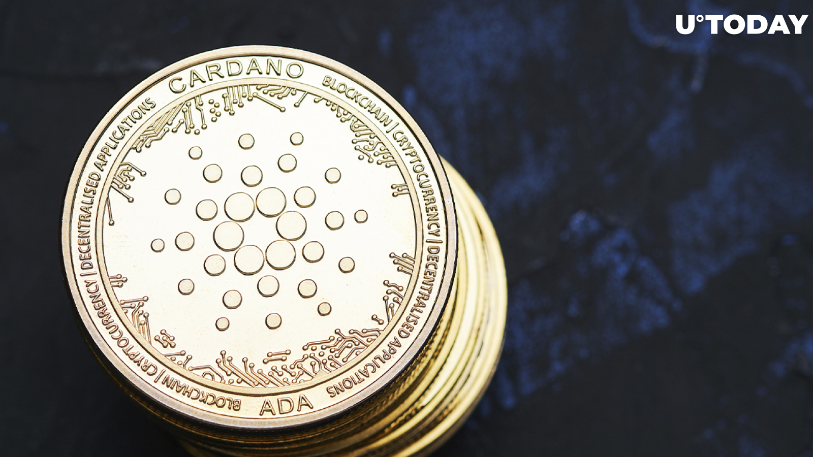 Cardano Whales Bought Over 16 Million ADA as Price Surged, Data Shows