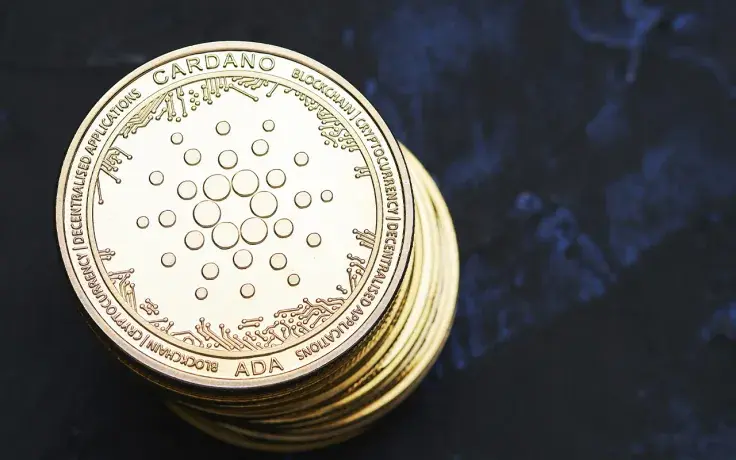 Cardano Whales Bought Over 16 Million ADA as Price Surged, Data Shows