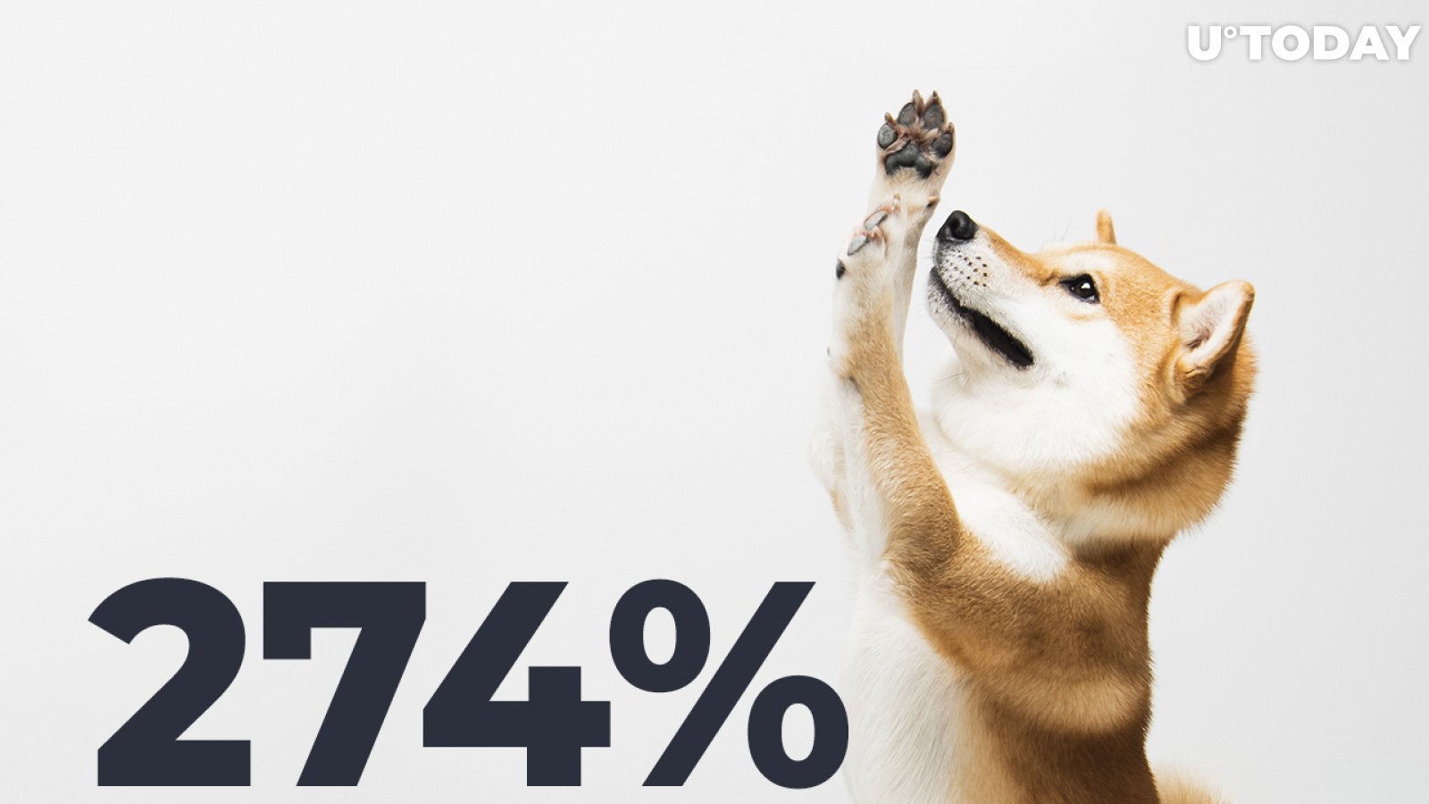 Shiba Inu Faces 274% Average Value Increase on Whale Wallets, Here's How