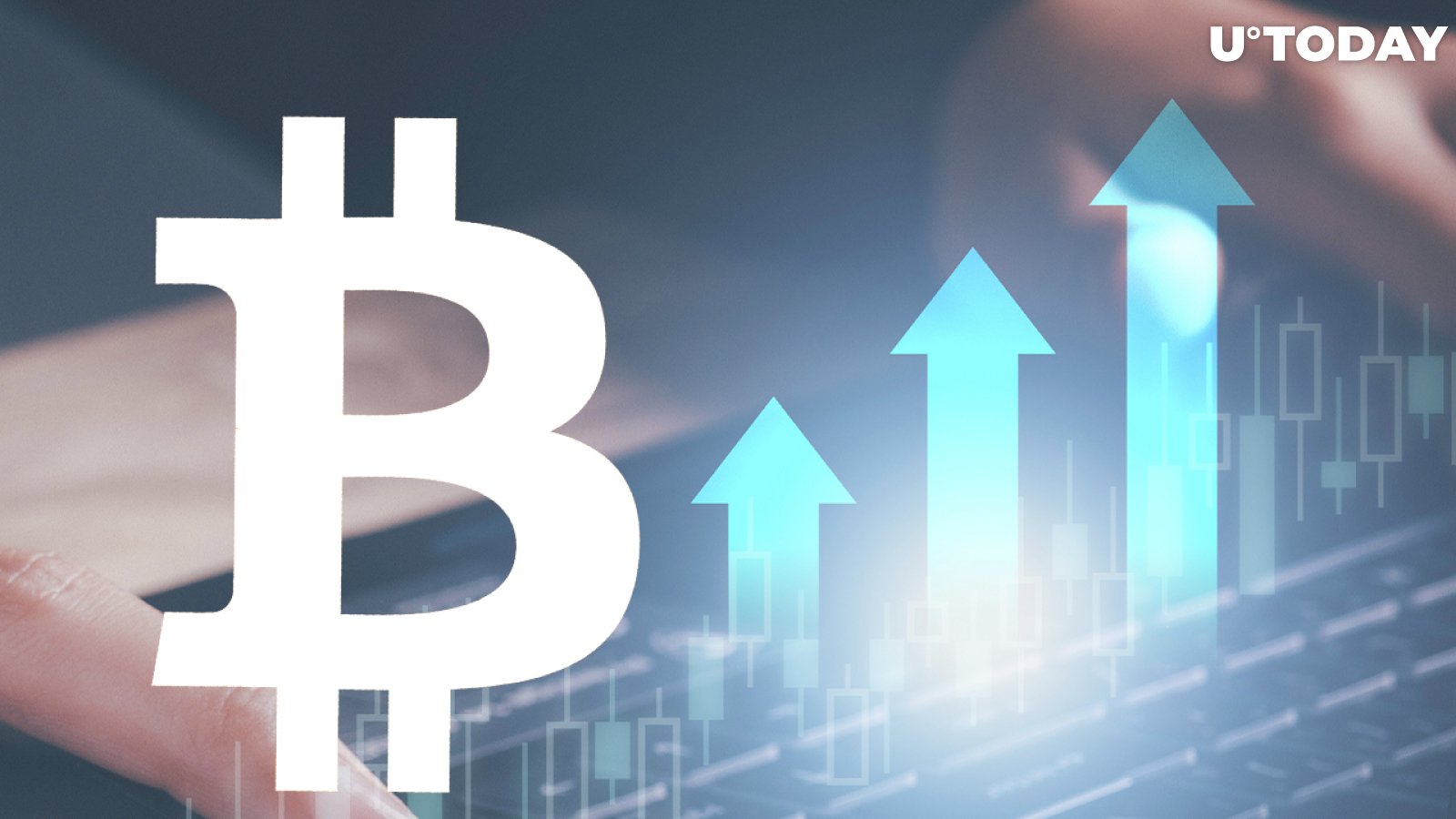 Short-Term Bitcoin Traders Increase Holdings by Nearly 5% as Retail Interest Returns: Details