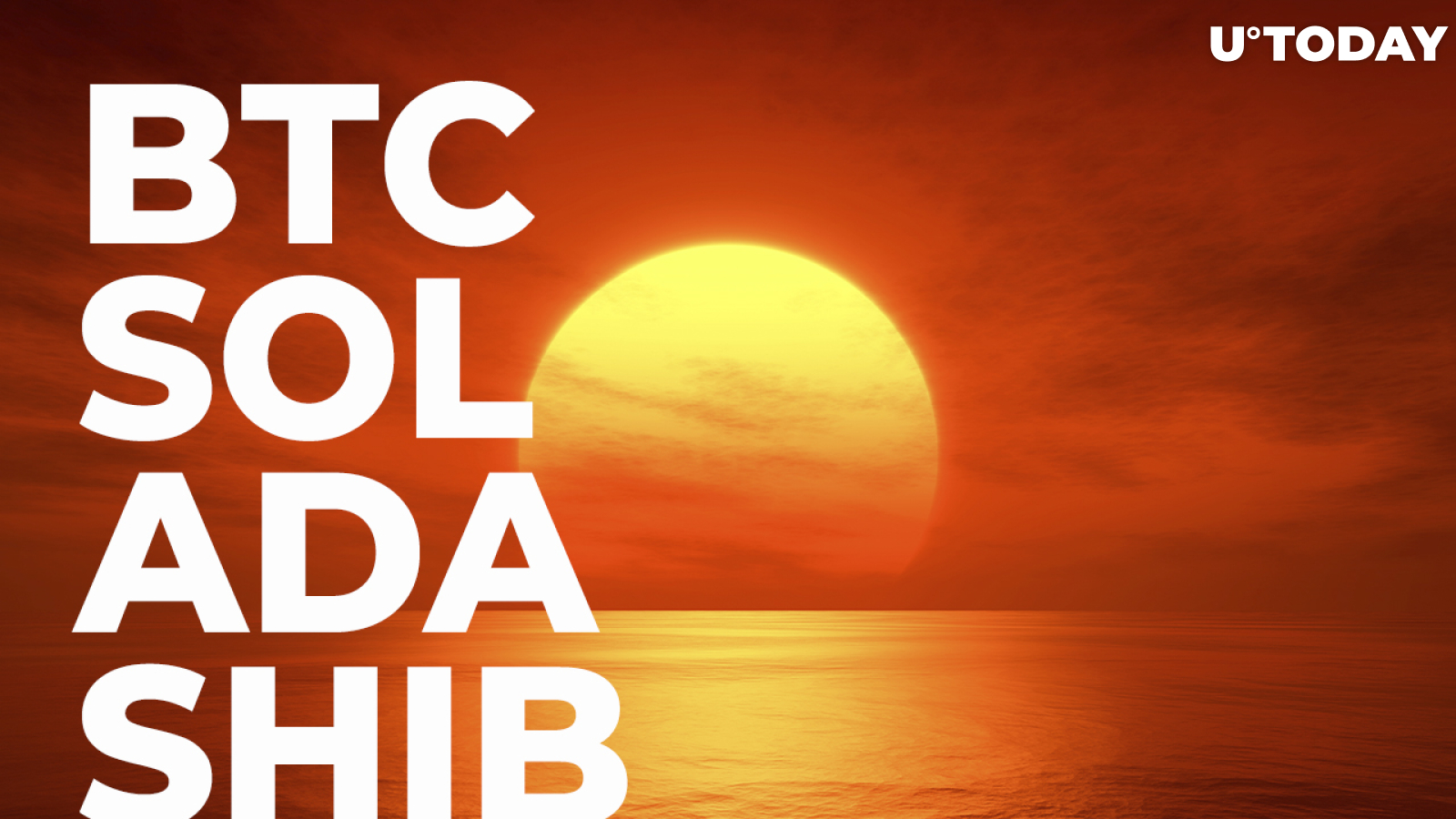 BTC, SOL, ADA, SHIB: Market in Sea of Red