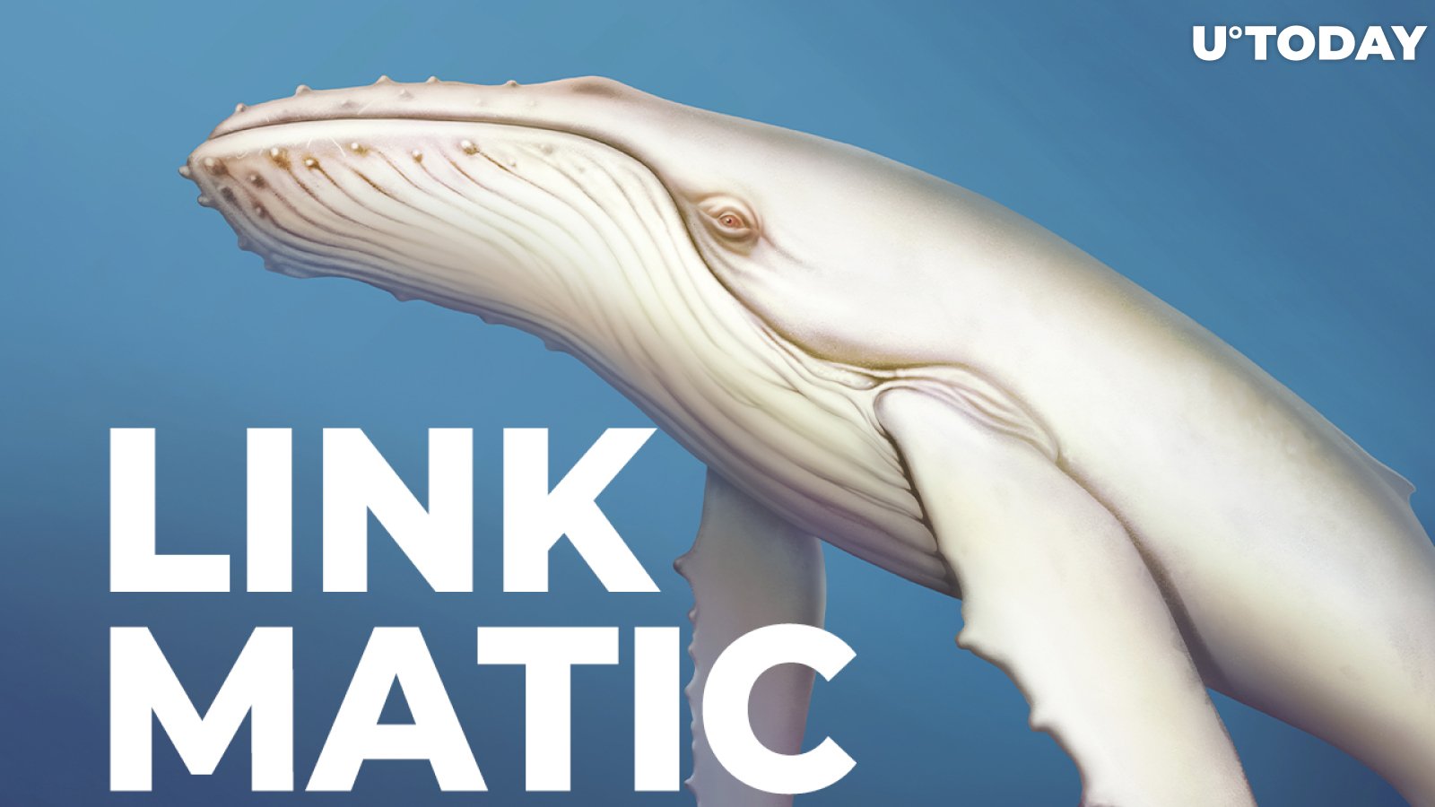 Whales Grab $1.2 Million in LINK, $1.05 Million in MATIC on the Dip, Increasing Their Holdings 