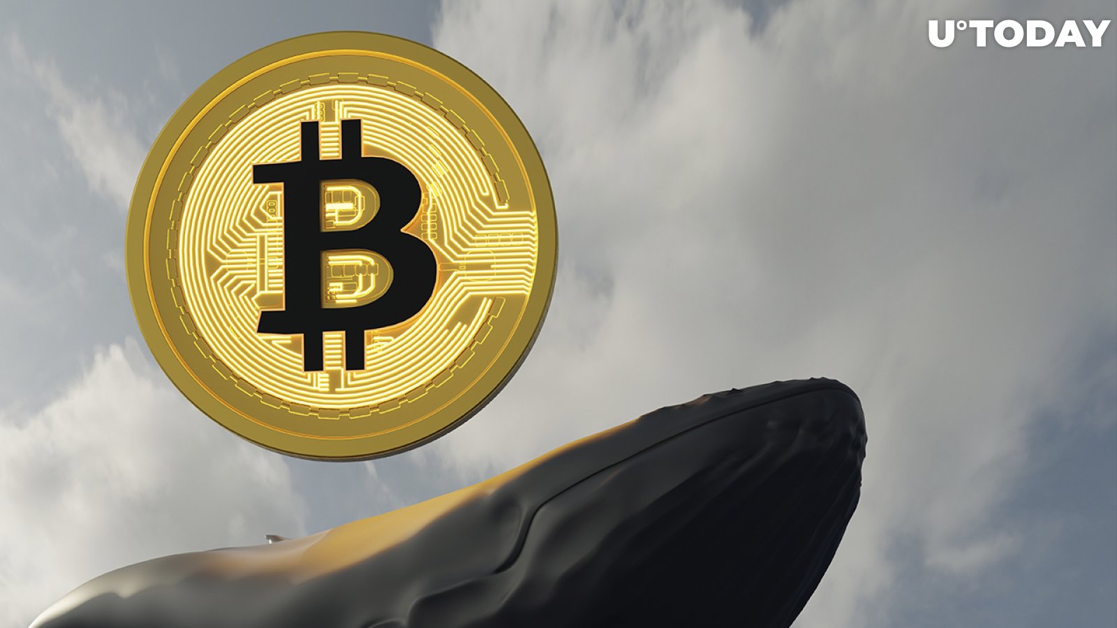 Whales Move Over 11,000 BTC in Just Hours as Bitcoin Plummets to Lows Near $40K: Details