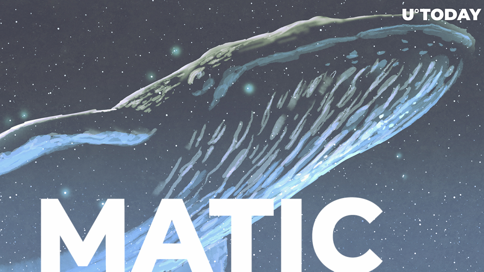 MATIC Large Transactions Increase by 105% as Whales Return: Details