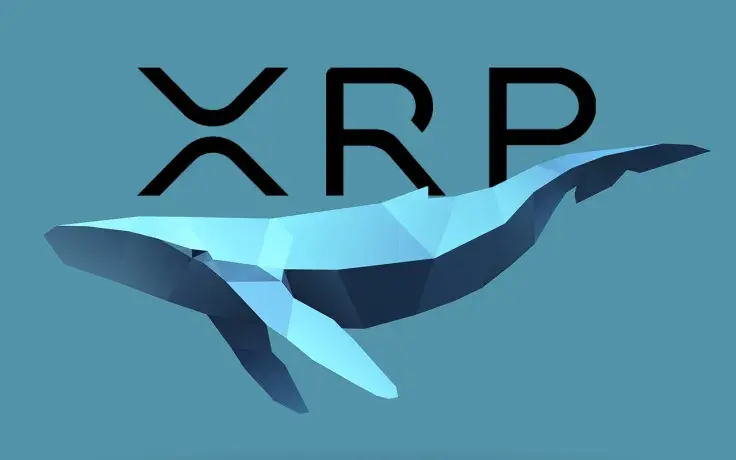 XRP Whales Move 60 Million Coins Between Wallets: Whale Alert