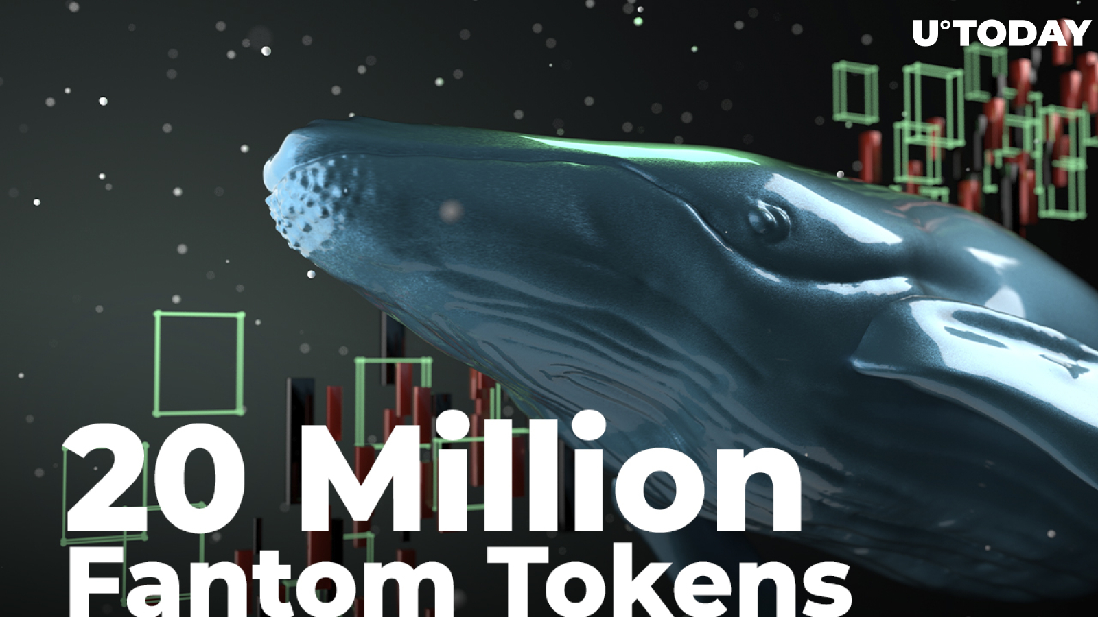 Whales Grab 20 Million Wrapped Fantom Tokens and 1.1 Million FTM Amid Dip-Buying: Details