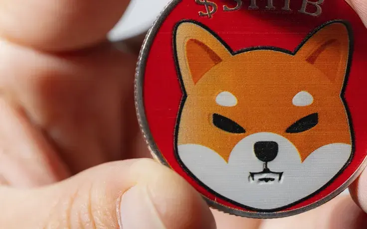 More Than 16 Million SHIB Burned as Community Prepares for Larger Burn Event: Details