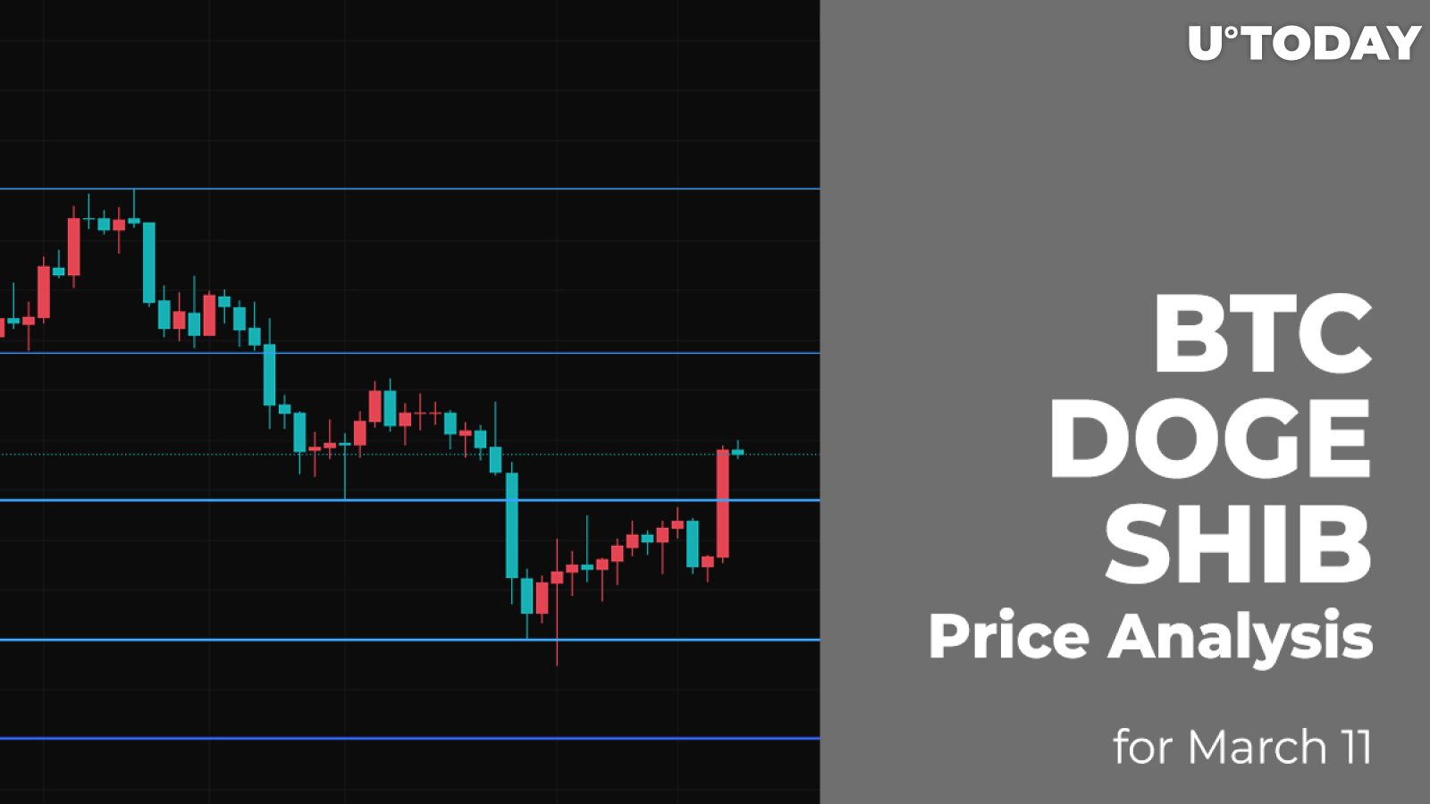 BTC, DOGE and SHIB Price Analysis for March 11