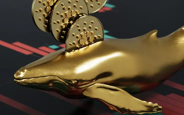 Cardano Whales Increase Large Transactions by 213% as Price Declines: Details