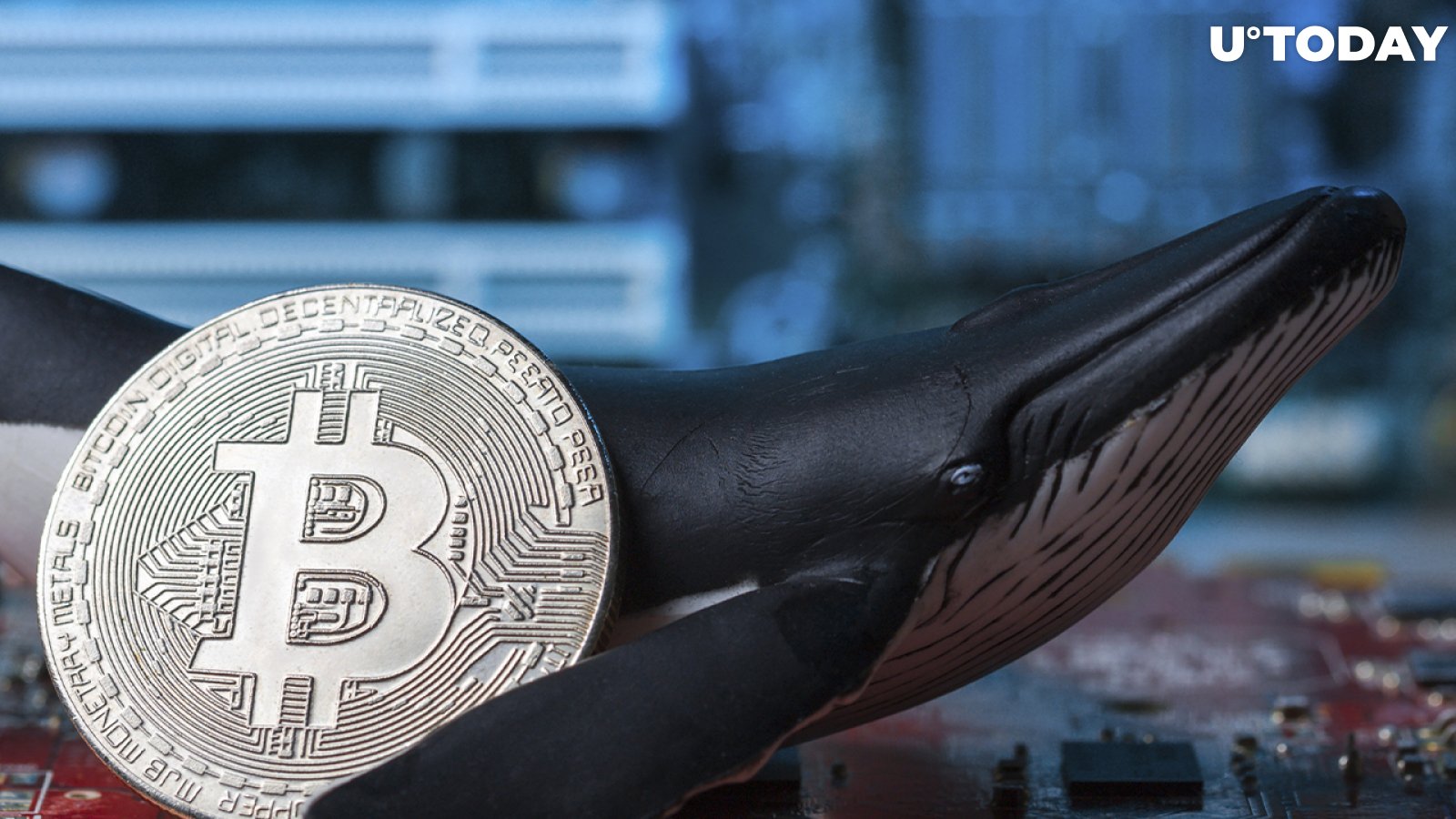 Bitcoin Whales in Uncertainty as BTC Fails to Hold Above $40,000