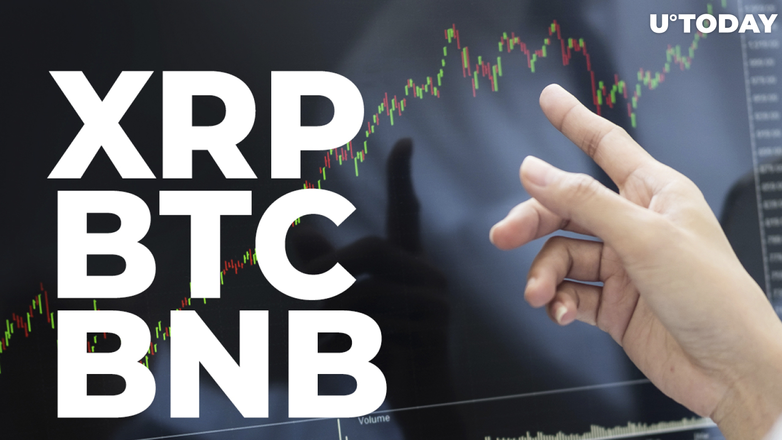 XRP, BTC, BNB Traders Believe Prices For These Coins Will Rise Soon: Report