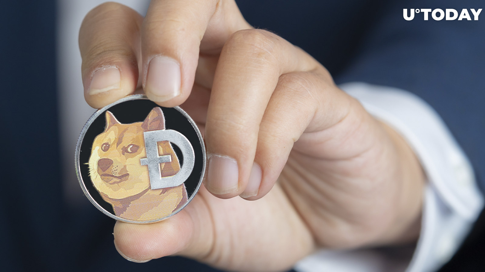 Dogecoin Now Held by 3.89 Million Addresses as Whales Control 287 Million Tokens: Details