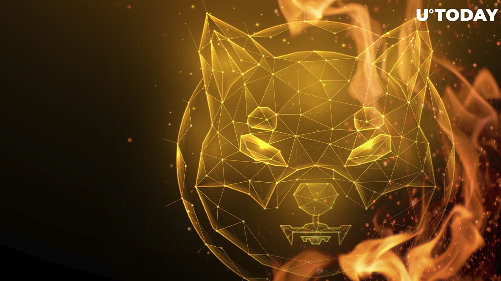 Close to 600 Million SHIB Prepared for Burning Today, 33 Tokens Destroyed Within 24+ Hours
