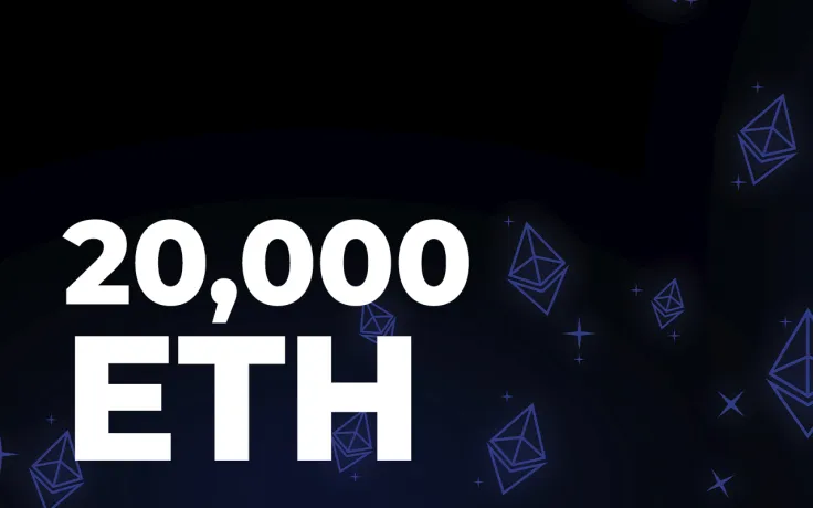 20,000 ETH Moved Between Wallets as Whales Continue to Buy: Details