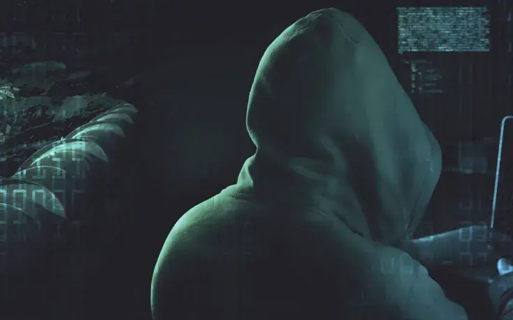 Scammers Create "Elona Musk" Related Tokens Amid Hype Around Entrepreneur's Female Version