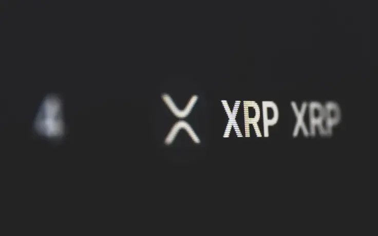 211 Million XRP Moved by Crypto Whales as XRP Trades in $0.79 Range