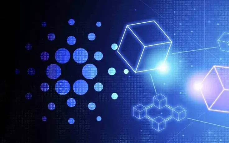 Blockchain Education Hub Platinum Crypto Academy Partners with Cardano’s Bashoswap