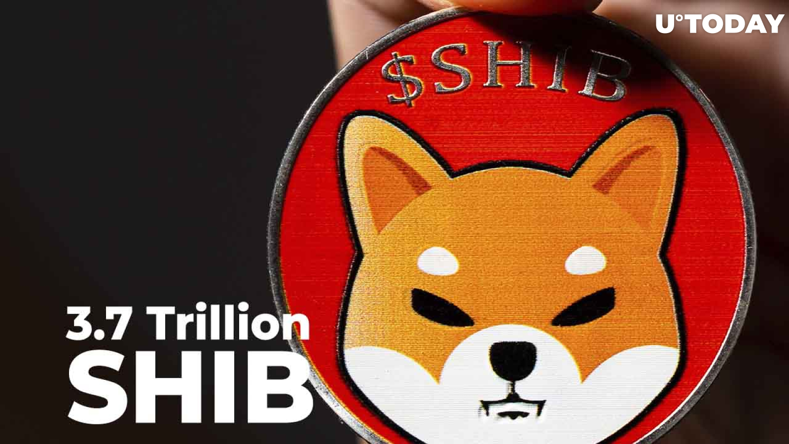 3.7 Trillion SHIB Lands in Whale's Wallet After Massive Purchase: Details