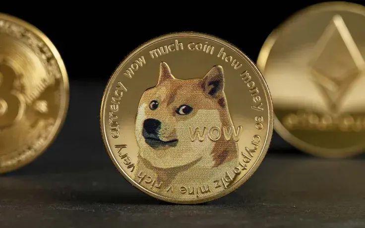 DOGE on Top 10 List of Coins Held by Biggest BSC Investors: Report