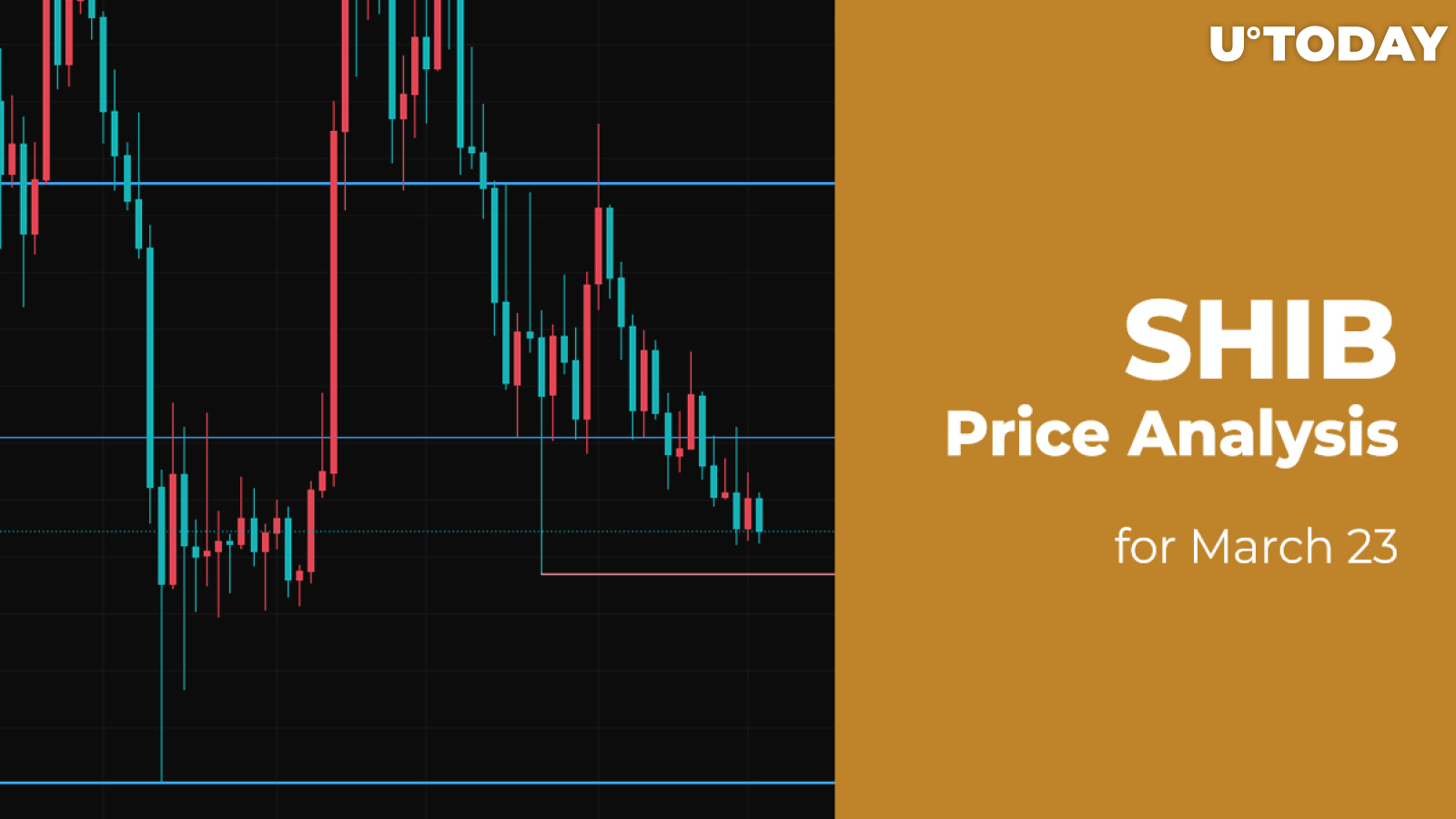 SHIB Price Analysis for March 23