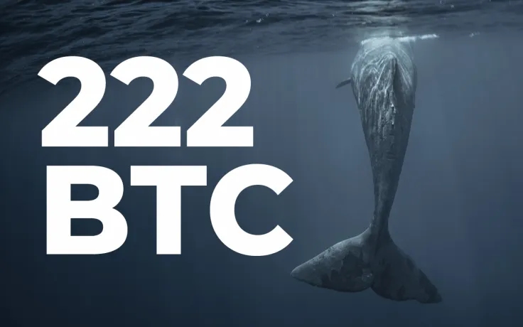 222 BTC Bought by Top Whale as Bitcoin Returns to $42K