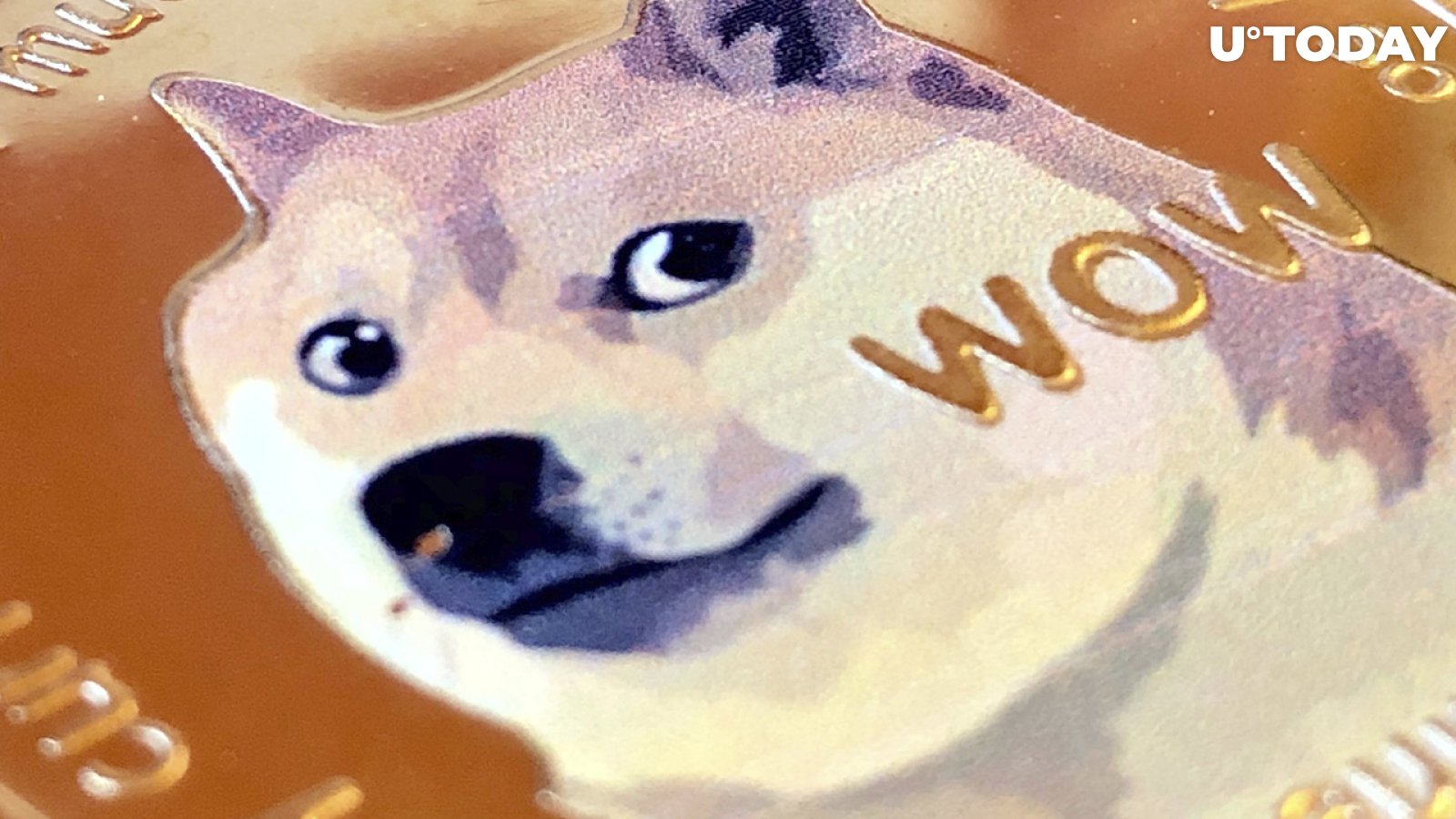 $40 Million Worth of Dogecoin Held by Top BSC Whales - DOGE Loses to MATIC: Details