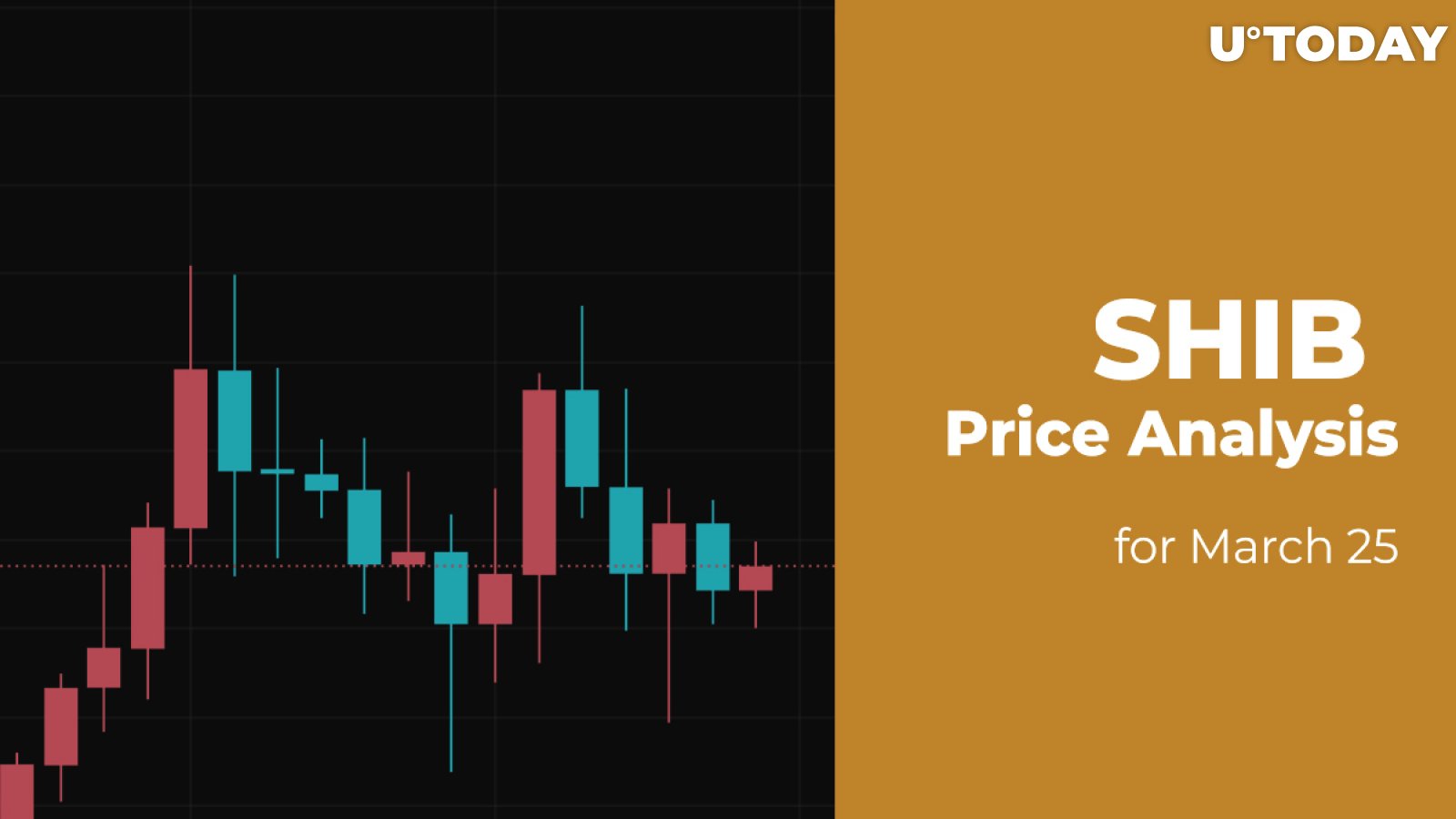 SHIB Price Analysis for March 25