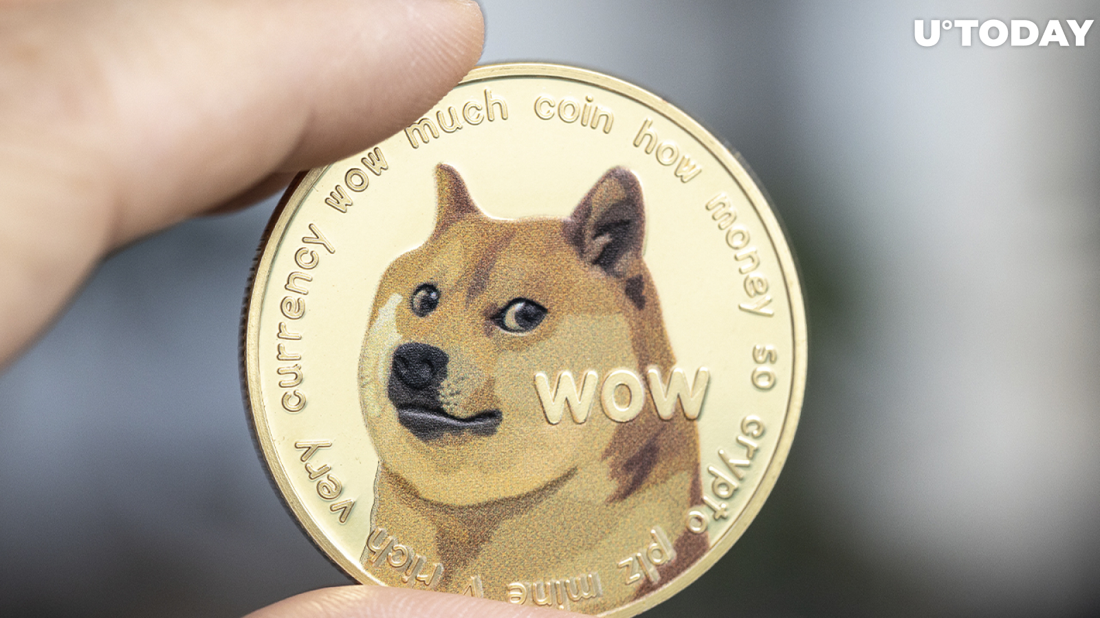 Dogecoin Whales Grow Number of Large DOGE Transactions by More Than 100%, Data Shows