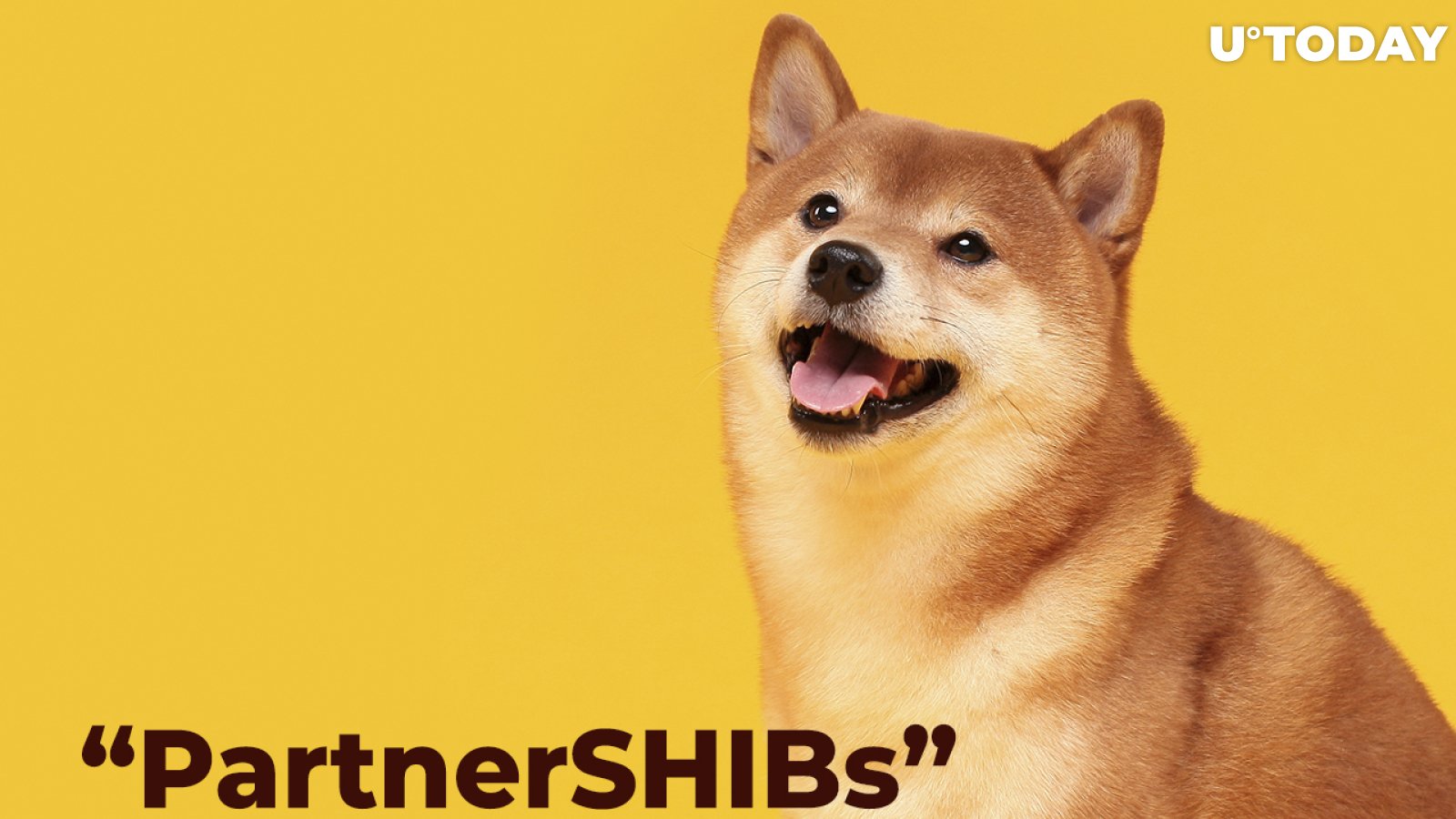 These Direct “PartnerSHIBs” Will Help SHIB Army Burn More Tokens: Details