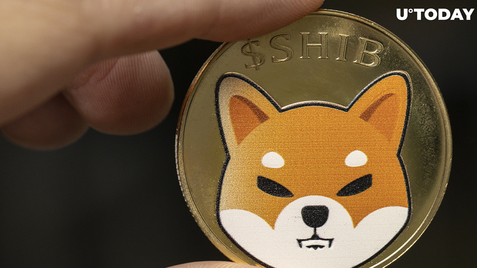 2.6 Billion Shiba Inu Burned in Past 7 Days, While 300 Million Gone in 24+ Hours