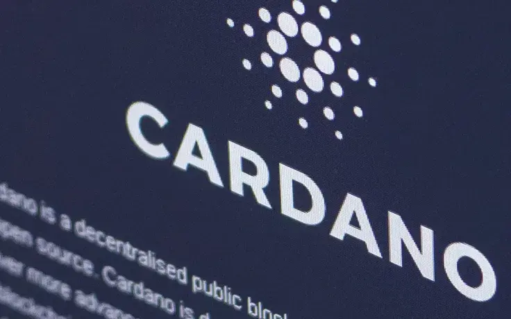 Cardano Attracts More Institutional Investors as On-Chain Transaction Volumes Increase 50 Times