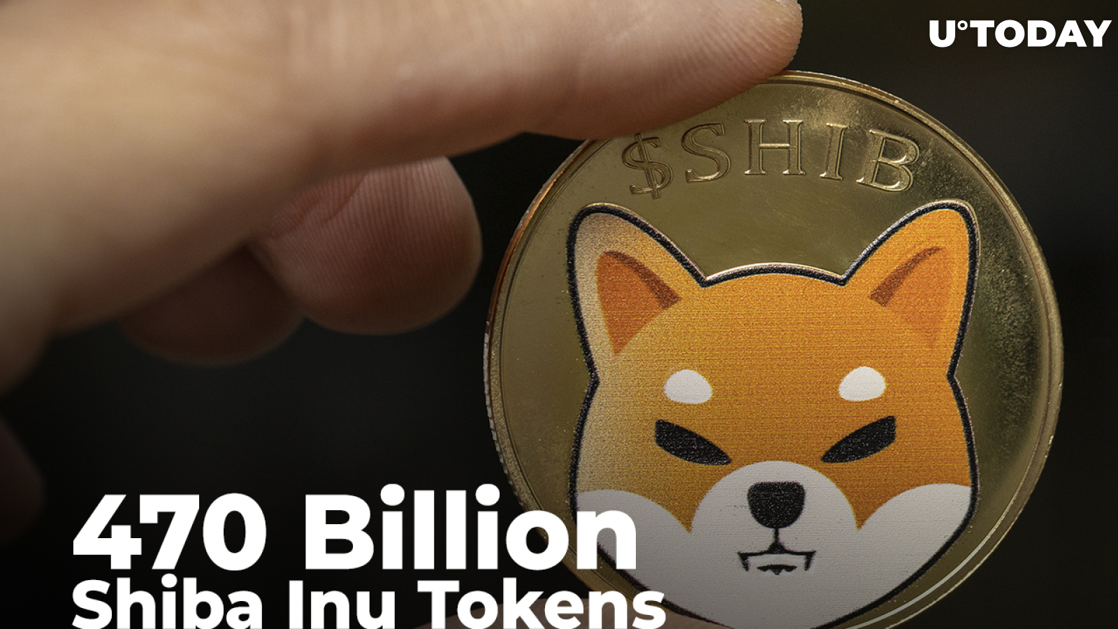 470 Billion Shiba Inu Tokens Grabbed by Whales Who Now Own 1.3 Trillion SHIB in Total