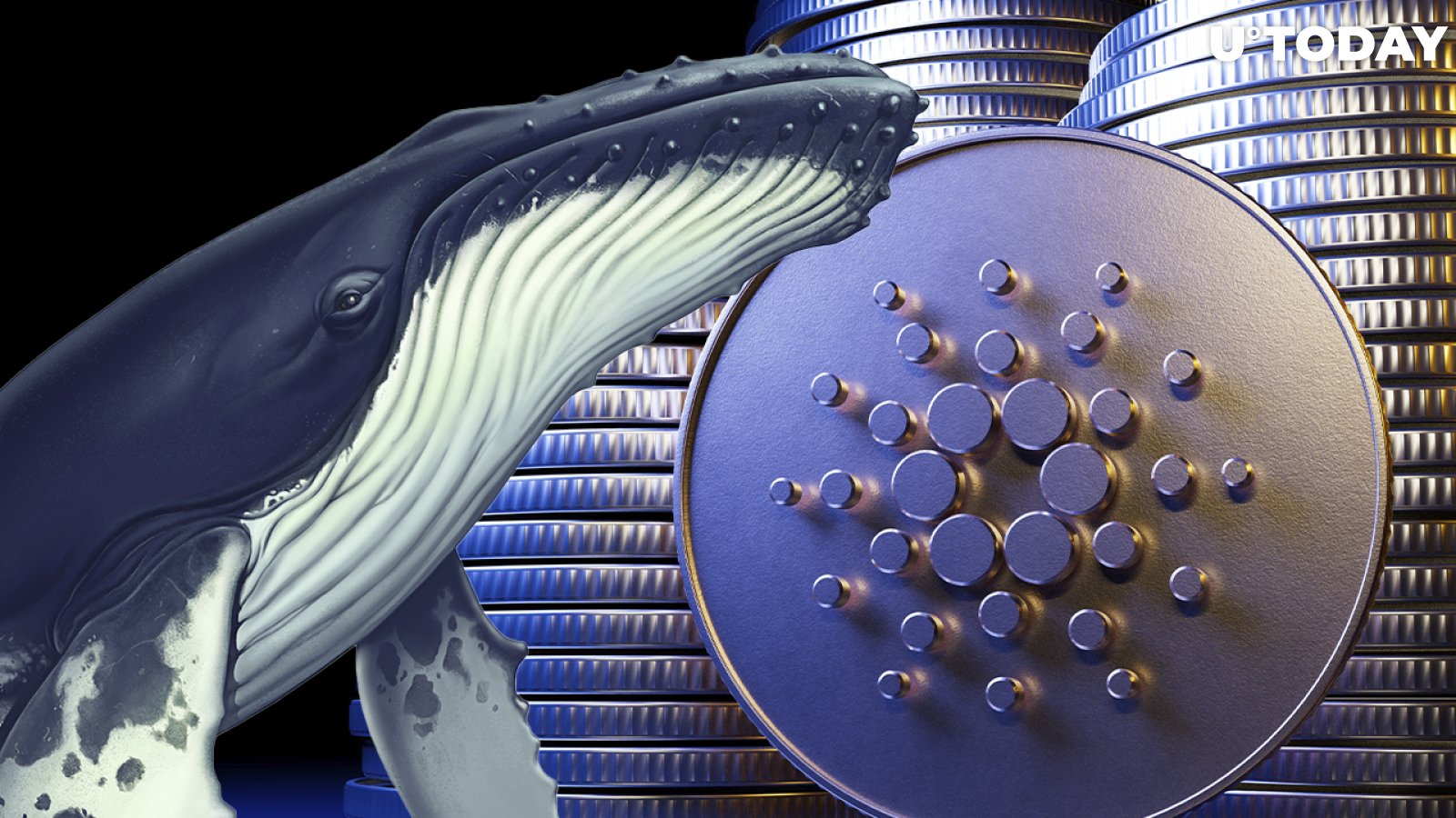 Cardano Sees Inflow of New Whales Since March – They Hold up to 12 Million ADA: Report