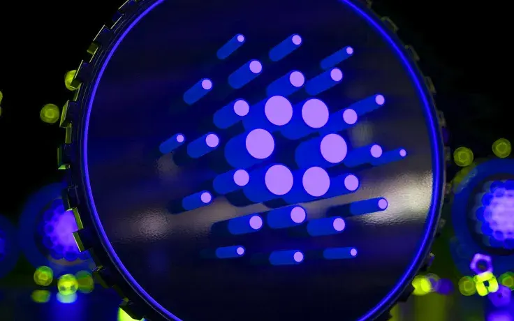 Cardano Transaction Fees Are at 100% Increase, Could It Become Problem in Future?