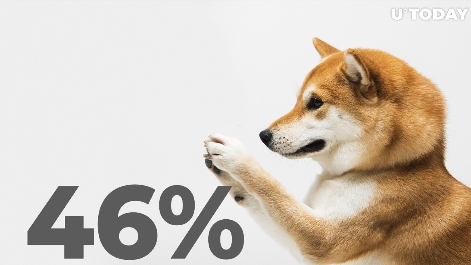 Shiba Inu's Profitability Rises to 46% as Expectations for Future Announcements Increase