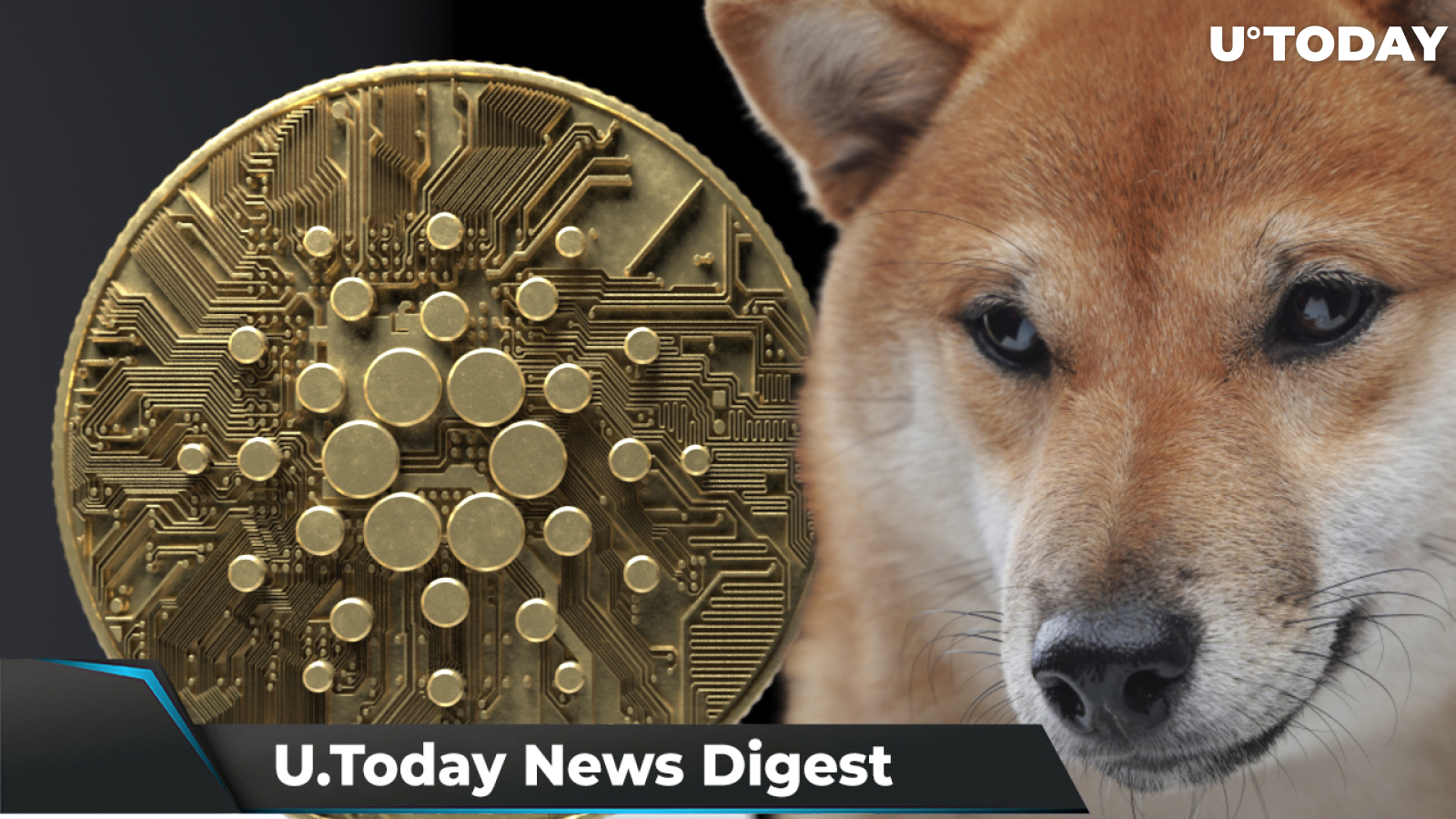 BTC Could Rise 10x in Two Years, David Gokhshtein Sees SHIB Touching $0.001, Cardano Records $50 Million Inflow to DeFi: Crypto News Digest by U.Today