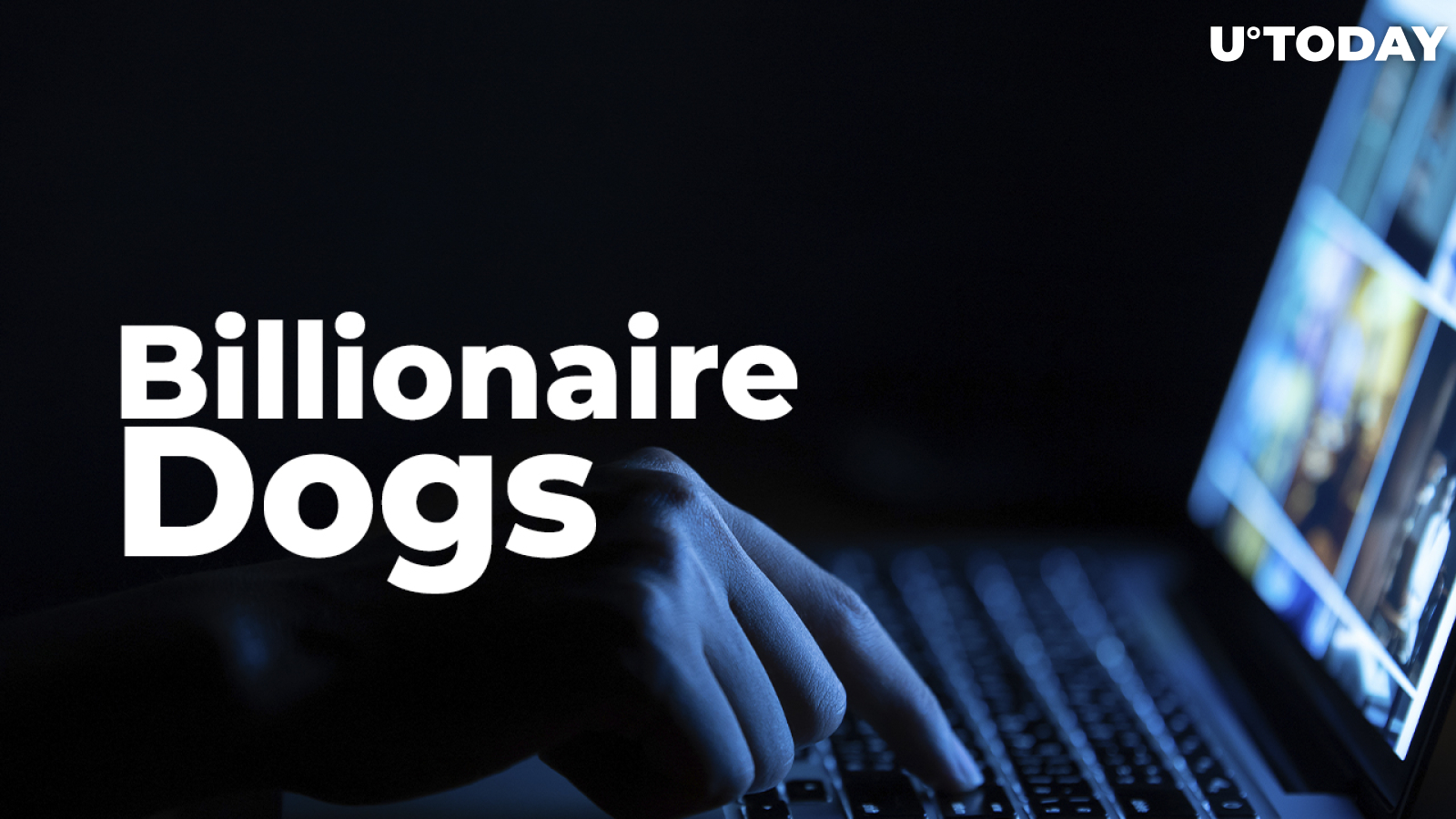 NFT Collection Billionaire Dogs Promoted by Popular French Influencer Scammed Users, 100% of Funds Stolen