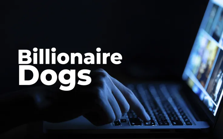 NFT Collection Billionaire Dogs Promoted by Popular French Influencer Scammed Users, 100% of Funds Stolen