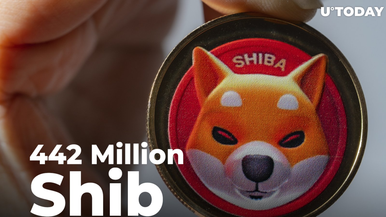 442 Million Shiba Inu Burned in Past 3 Days, While SHIB Shows 11% Weekly Drop